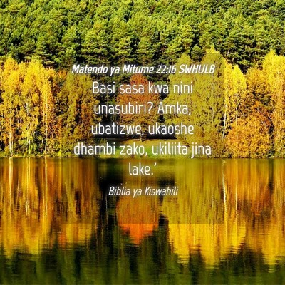 Picture 04 - Matendo ya Mitume 22:16 SWHULB - Basi sasa kwa nini unasubiri? Amka, ubatizwe, - Bible Verse Picture