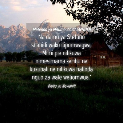 Picture 04 - Matendo ya Mitume 22:20 SWHULB - Na damu ya Stefano shahidi wako ilipomwagwa, Mimi - Bible Verse Picture