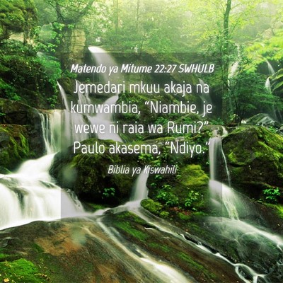 Picture 04 - Matendo ya Mitume 22:27 SWHULB - Jemedari mkuu akaja na kumwambia, “Niambie, je - Bible Verse Picture
