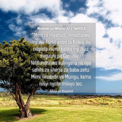 Picture 04 - Matendo ya Mitume 22:3 SWHULB - “Mimi ni myahudi, nimezaliwa mji wa Tarso eneo - Bible Verse Picture