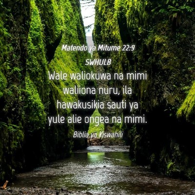 Picture 04 - Matendo ya Mitume 22:9 SWHULB - Wale waliokuwa na mimi waliiona nuru, ila - Bible Verse Picture