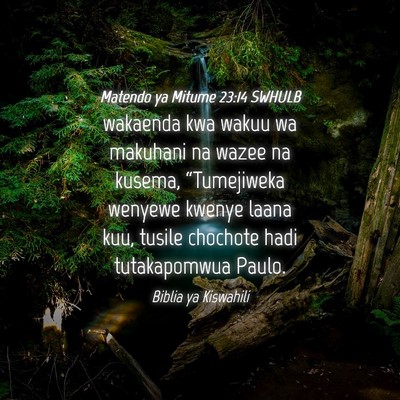 Picture 04 - Matendo ya Mitume 23:14 SWHULB - wakaenda kwa wakuu wa makuhani na wazee na - Bible Verse Picture