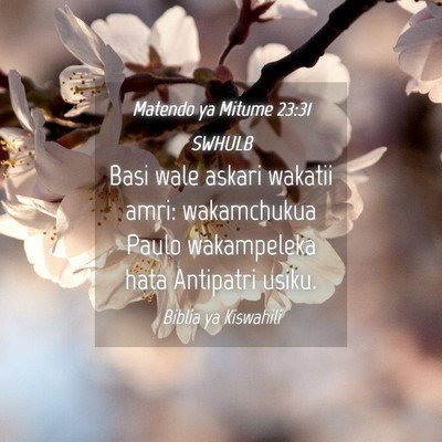 Picture 04 - Matendo ya Mitume 23:31 SWHULB - Basi wale askari wakatii amri: wakamchukua Paulo - Bible Verse Picture