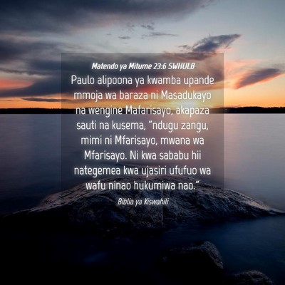 Picture 04 - Matendo ya Mitume 23:6 SWHULB - Paulo alipoona ya kwamba upande mmoja wa baraza - Bible Verse Picture