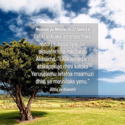 Picture 04 - Matendo ya Mitume 24:22 SWHULB - Feliki alikuwa ametaarifiwa vizuri kuhusu njia, - Bible Verse Picture