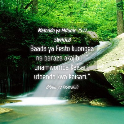 Picture 04 - Matendo ya Mitume 25:12 SWHULB - Baada ya Festo kuongea na baraza akajibu, “ - Bible Verse Picture
