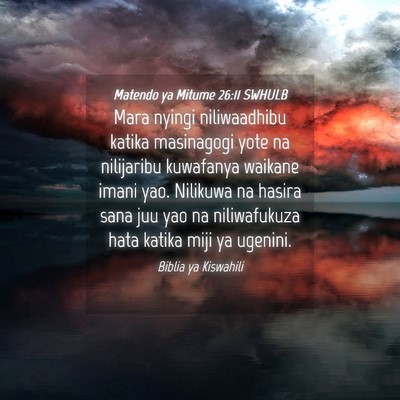 Picture 04 - Matendo ya Mitume 26:11 SWHULB - Mara nyingi niliwaadhibu katika masinagogi yote - Bible Verse Picture