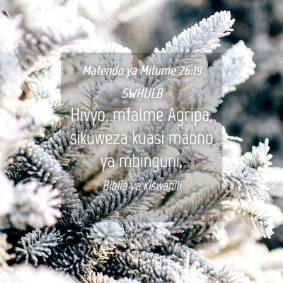 Picture 04 - Matendo ya Mitume 26:19 SWHULB - Hivyo, mfalme Agripa, sikuweza kuasi maono ya - Bible Verse Picture
