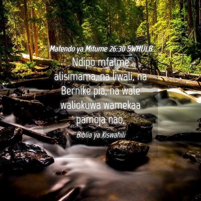 Picture 04 - Matendo ya Mitume 26:30 SWHULB - Ndipo mfalme alisimama, na liwali, na Bernike - Bible Verse Picture