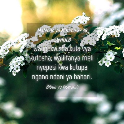 Picture 04 - Matendo ya Mitume 27:38 SWHULB - Walipokwisha kula vya kutosha, waliifanya meli - Bible Verse Picture