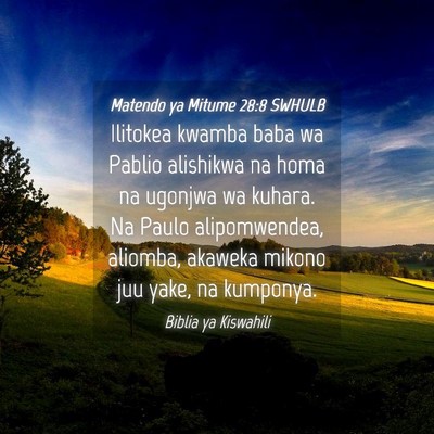 Picture 04 - Matendo ya Mitume 28:8 SWHULB - Ilitokea kwamba baba wa Pablio alishikwa na homa - Bible Verse Picture