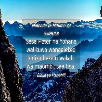 Picture 04 - Matendo ya Mitume 3:1 SWHULB - Sasa Peter na Yohana walikuwa wanaelekea katika - Bible Verse Picture