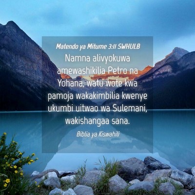 Picture 04 - Matendo ya Mitume 3:11 SWHULB - Namna alivyokuwa amewashikilia Petro na Yohana, - Bible Verse Picture