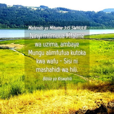 Picture 04 - Matendo ya Mitume 3:15 SWHULB - Ninyi mlimuua Mfalme wa uzima, ambaye Mungu - Bible Verse Picture