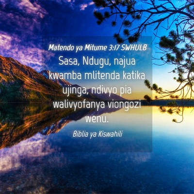Picture 04 - Matendo ya Mitume 3:17 SWHULB - Sasa, Ndugu, najua kwamba mlitenda katika ujinga, - Bible Verse Picture