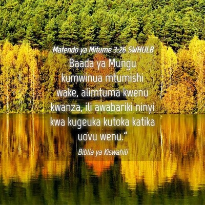 Picture 04 - Matendo ya Mitume 3:26 SWHULB - Baada ya Mungu kumwinua mtumishi wake, alimtuma - Bible Verse Picture