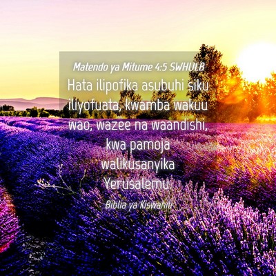 Picture 04 - Matendo ya Mitume 4:5 SWHULB - Hata ilipofika asubuhi siku iliyofuata, kwamba - Bible Verse Picture
