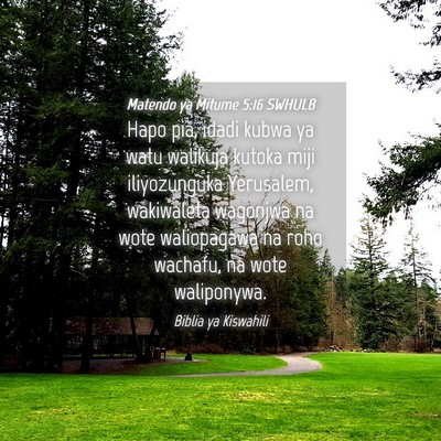 Picture 04 - Matendo ya Mitume 5:16 SWHULB - Hapo pia, idadi kubwa ya watu walikuja kutoka - Bible Verse Picture