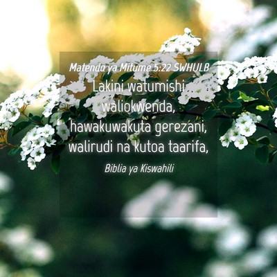 Picture 04 - Matendo ya Mitume 5:22 SWHULB - Lakini watumishi waliokwenda, hawakuwakuta - Bible Verse Picture