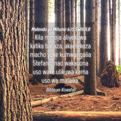 Picture 04 - Matendo ya Mitume 6:15 SWHULB - Kila mmoja aliyekuwa katika baraza, akaelekeza - Bible Verse Picture