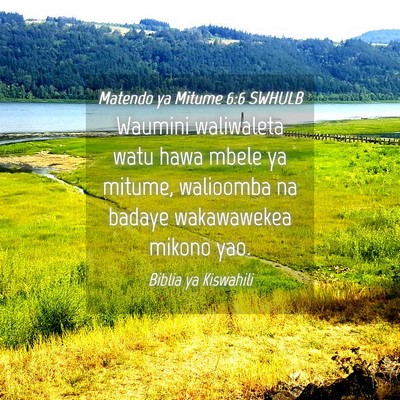 Picture 04 - Matendo ya Mitume 6:6 SWHULB - Waumini waliwaleta watu hawa mbele ya mitume, - Bible Verse Picture