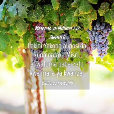 Picture 04 - Matendo ya Mitume 7:12 SWHULB - Lakini Yakobo aliposikia kuna nafaka Misri, - Bible Verse Picture