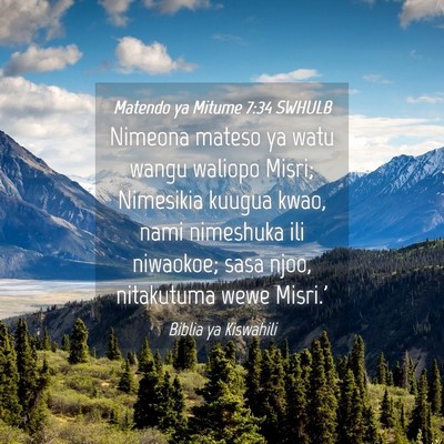 Picture 04 - Matendo ya Mitume 7:34 SWHULB - Nimeona mateso ya watu wangu waliopo Misri; - Bible Verse Picture