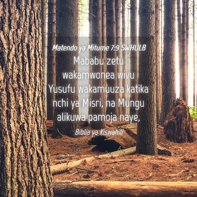 Picture 04 - Matendo ya Mitume 7:9 SWHULB - Mababu zetu wakamwonea wivu Yusufu wakamuuza - Bible Verse Picture