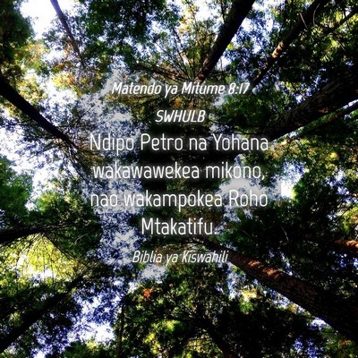 Picture 04 - Matendo ya Mitume 8:17 SWHULB - Ndipo Petro na Yohana wakawawekea mikono, nao - Bible Verse Picture