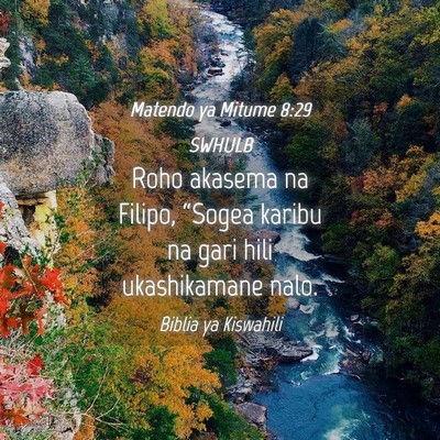 Picture 04 - Matendo ya Mitume 8:29 SWHULB - Roho akasema na Filipo, “Sogea karibu na gari - Bible Verse Picture