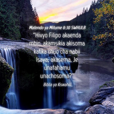 Picture 04 - Matendo ya Mitume 8:30 SWHULB - “Hivyo Filipo akaenda mbio, akamsikia akisoma - Bible Verse Picture