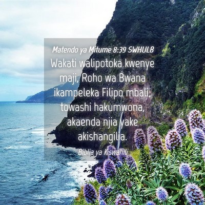 Picture 04 - Matendo ya Mitume 8:39 SWHULB - Wakati walipotoka kwenye maji, Roho wa Bwana - Bible Verse Picture