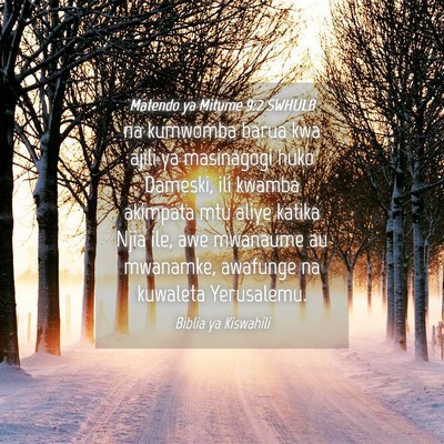 Picture 04 - Matendo ya Mitume 9:2 SWHULB - na kumwomba barua kwa ajili ya masinagogi huko - Bible Verse Picture