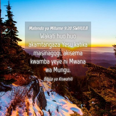 Picture 04 - Matendo ya Mitume 9:20 SWHULB - Wakati huo huo akamtangaza Yesu katika - Bible Verse Picture