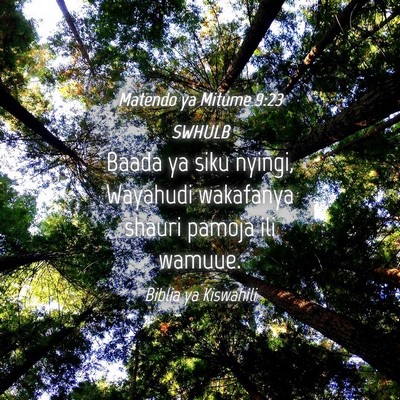 Picture 04 - Matendo ya Mitume 9:23 SWHULB - Baada ya siku nyingi, Wayahudi wakafanya shauri - Bible Verse Picture