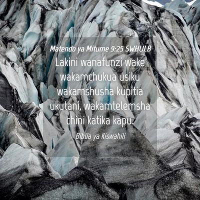 Picture 04 - Matendo ya Mitume 9:25 SWHULB - Lakini wanafunzi wake wakamchukua usiku - Bible Verse Picture