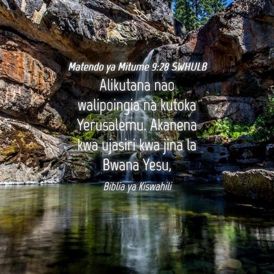 Picture 04 - Matendo ya Mitume 9:28 SWHULB - Alikutana nao walipoingia na kutoka Yerusalemu. - Bible Verse Picture