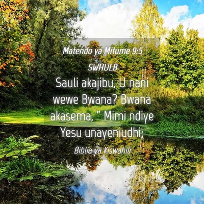 Picture 04 - Matendo ya Mitume 9:5 SWHULB - Sauli akajibu, U nani wewe Bwana? Bwana akasema, - Bible Verse Picture