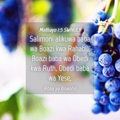 Picture 04 - Mathayo 1:5 SWHULB - Salimoni alikuwa baba wa Boazi kwa Rahabu, Boazi - Bible Verse Picture
