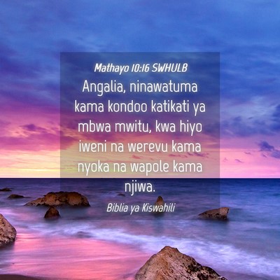 Picture 04 - Mathayo 10:16 SWHULB - Angalia, ninawatuma kama kondoo katikati ya mbwa - Bible Verse Picture