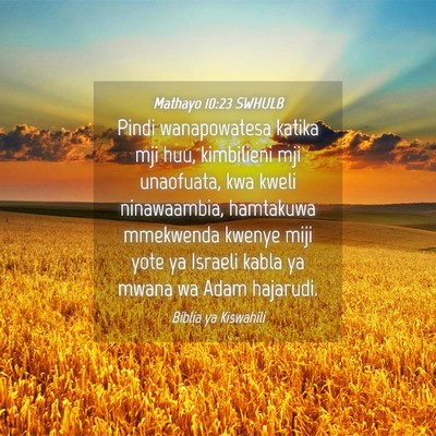 Picture 04 - Mathayo 10:23 SWHULB - Pindi wanapowatesa katika mji huu, kimbilieni mji - Bible Verse Picture