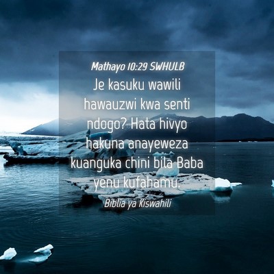 Picture 04 - Mathayo 10:29 SWHULB - Je kasuku wawili hawauzwi kwa senti ndogo? Hata - Bible Verse Picture