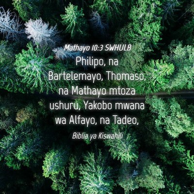 Picture 04 - Mathayo 10:3 SWHULB - Philipo, na Bartelemayo, Thomaso, na Mathayo - Bible Verse Picture