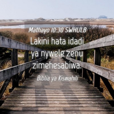Picture 04 - Mathayo 10:30 SWHULB - Lakini hata idadi ya nywele zenu - Bible Verse Picture