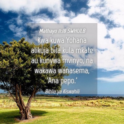 Picture 04 - Mathayo 11:18 SWHULB - Kwa kuwa Yohana alikuja bila kula mkate au kunywa - Bible Verse Picture