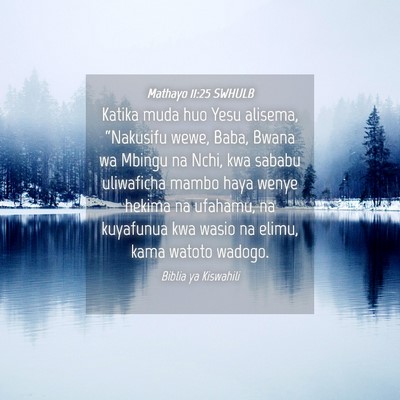Picture 04 - Mathayo 11:25 SWHULB - Katika muda huo Yesu alisema, “Nakusifu wewe, - Bible Verse Picture