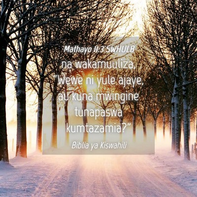 Picture 04 - Mathayo 11:3 SWHULB - na wakamuuliza, “Wewe ni yule ajaye, au kuna - Bible Verse Picture