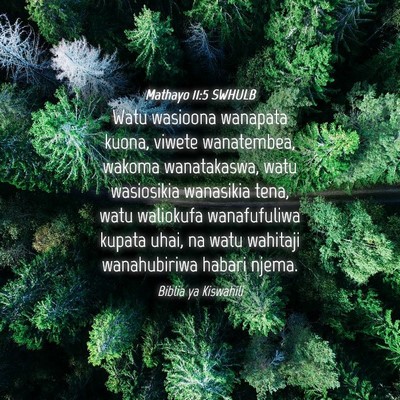 Picture 04 - Mathayo 11:5 SWHULB - Watu wasioona wanapata kuona, viwete wanatembea, - Bible Verse Picture