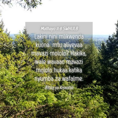 Picture 04 - Mathayo 11:8 SWHULB - Lakini nini mlikwenda kuona__mtu aliyevaa mavazi - Bible Verse Picture