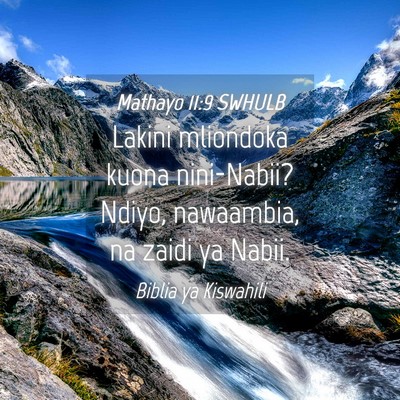 Picture 04 - Mathayo 11:9 SWHULB - Lakini mliondoka kuona nini-Nabii? Ndiyo, - Bible Verse Picture